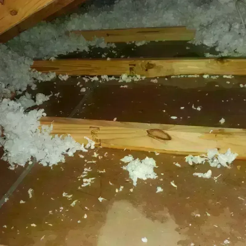 Attic Water Damage in Whitestown, IN